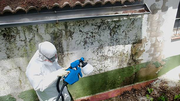 Top rated local Commercial Mold Remediation specialists in Aberdeen, MD